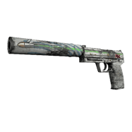 Souvenir USP-S | Road Rash (Field-Tested)