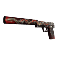 USP-S | Kill Confirmed (Well-Worn)