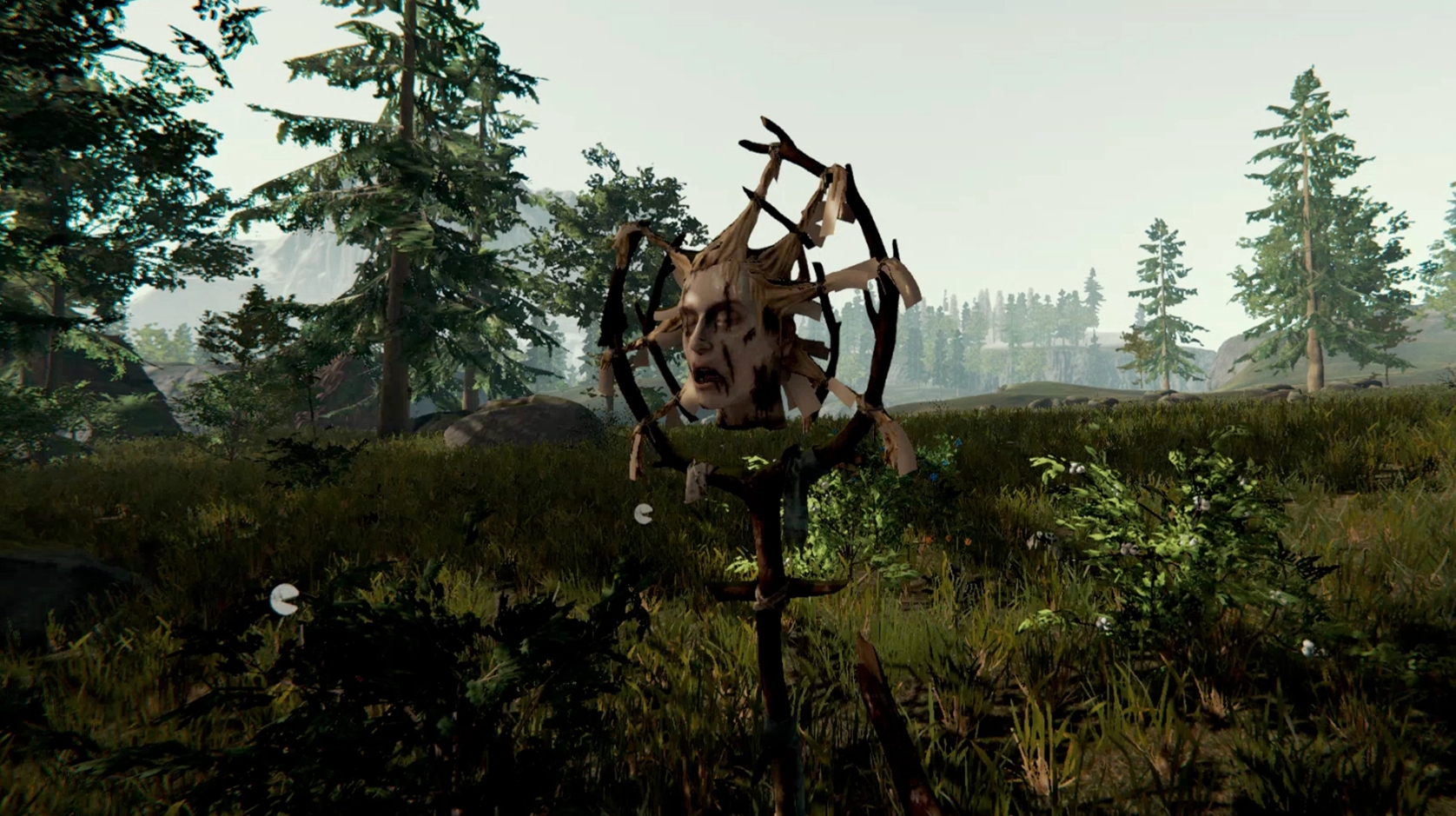 the forest review