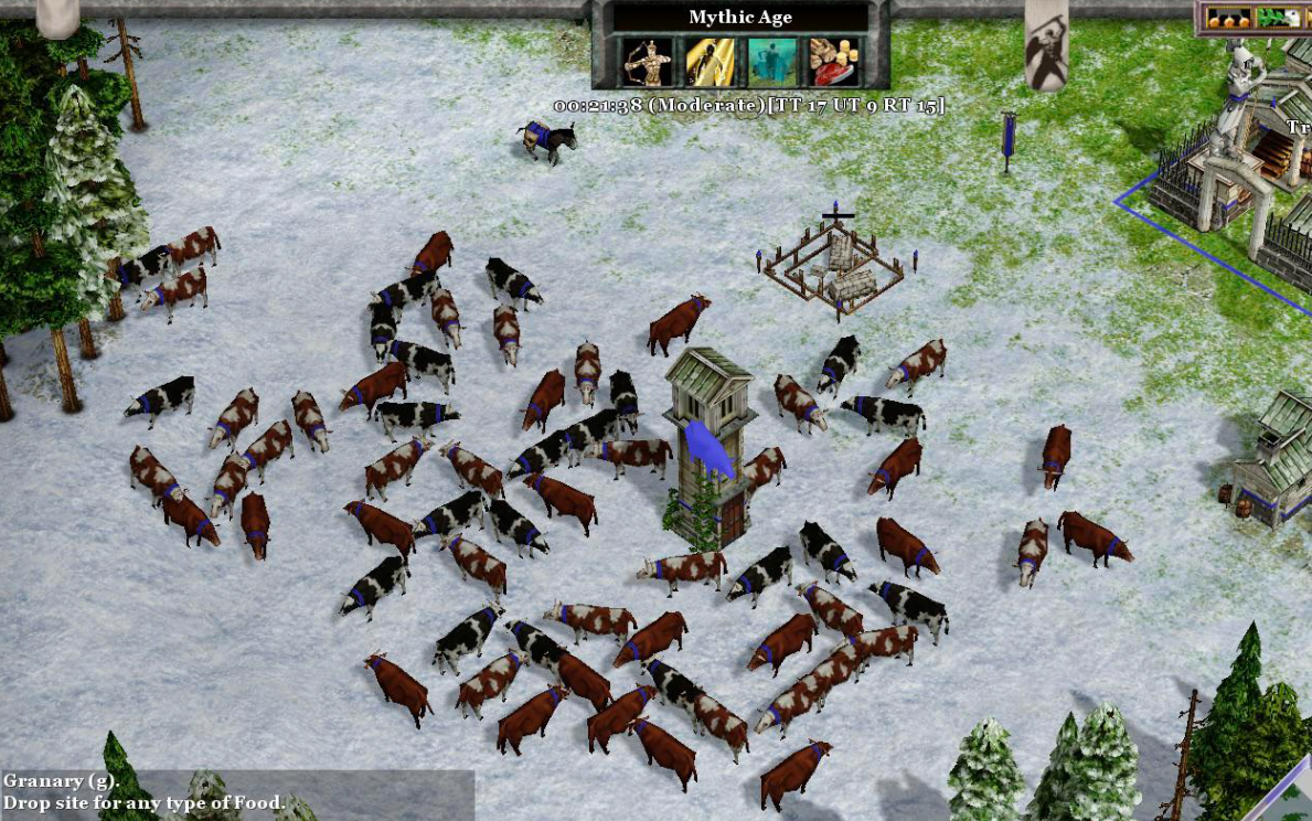 KnightShift 33 cows