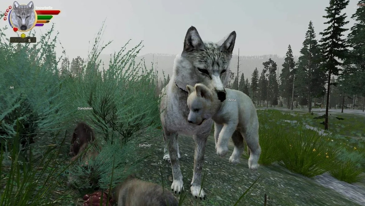 WolfQuest Anniversary Edition Free Steam Account