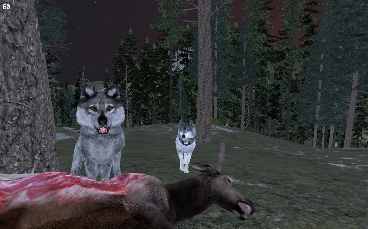 How to play WolfQuest Classic for free on Steam via VpeSports