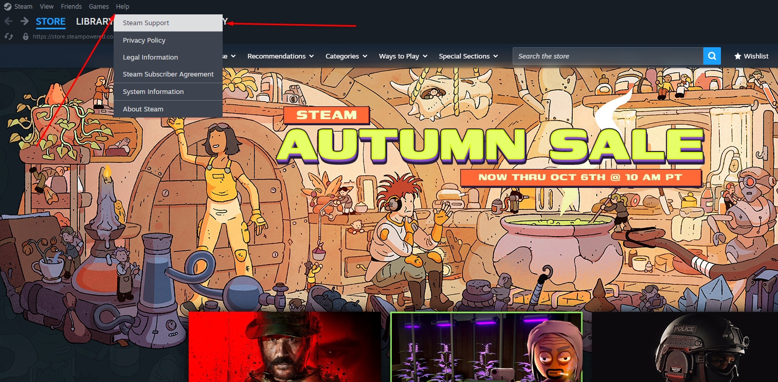 Steam Support