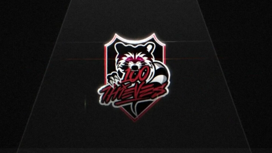 Crazy Thieves logo