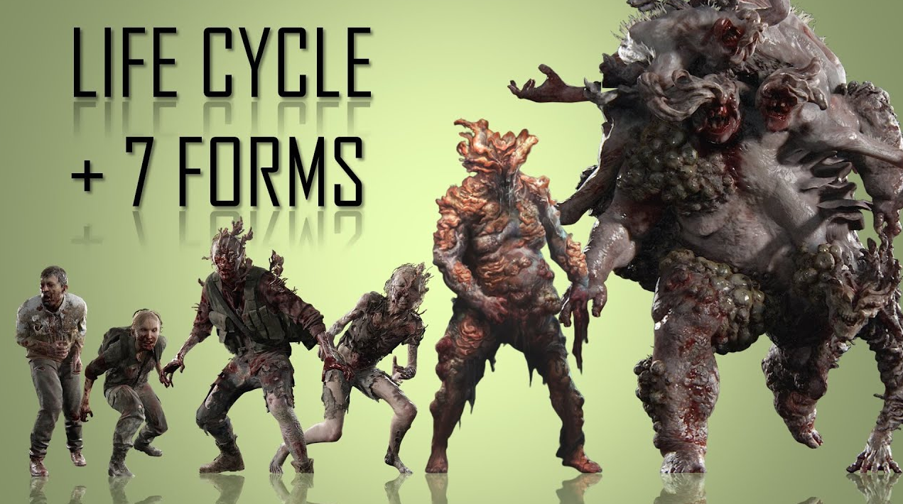 The Last of Us 3: Immune Survivor Group Rumor and the Science Behind Cordyceps Evolution - Image 3