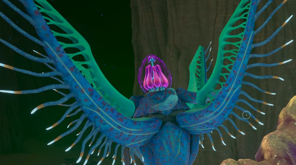 Subnautica 2: complete coordinates of all Angel Crestworms and adaptations - Image 1