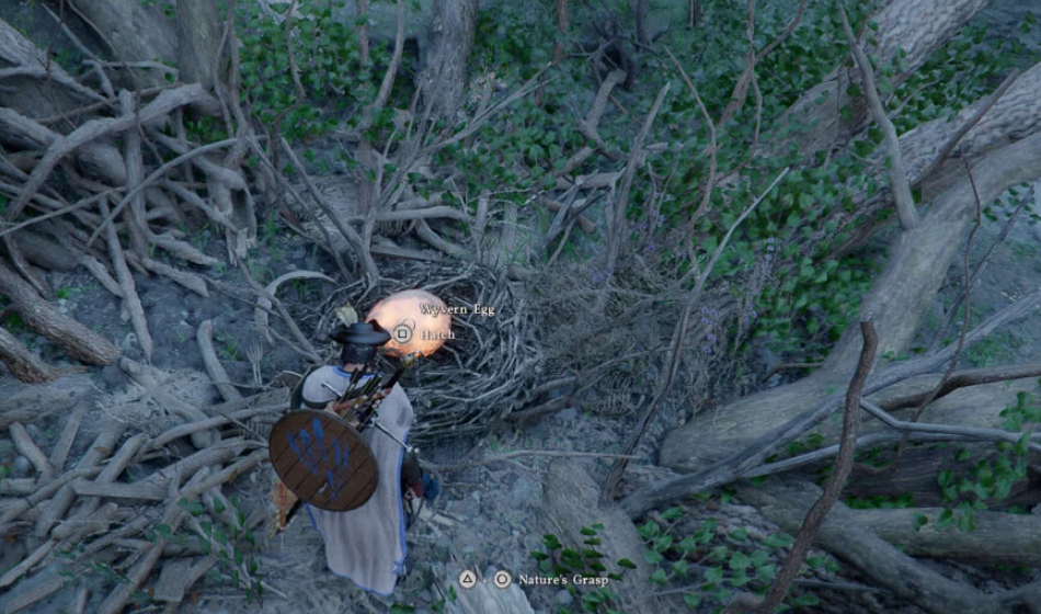 Crimson Desert: where to find and how to hatch wyvern egg — guide - Image 1