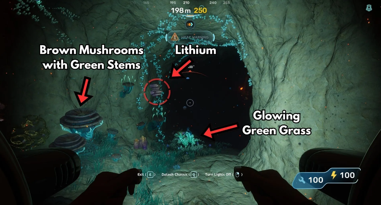 Lithium caves glowing mushrooms