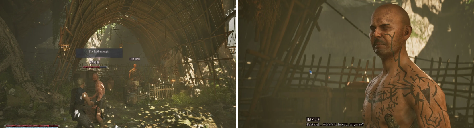 How to Start and Complete “Collecting Swamp Herb” Quest in Gothic 1 Remake — Brotherhood Joining Guide - Image 2