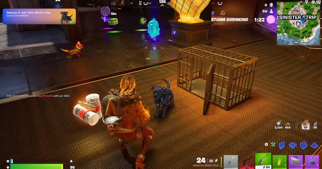 Fortnite companion skins