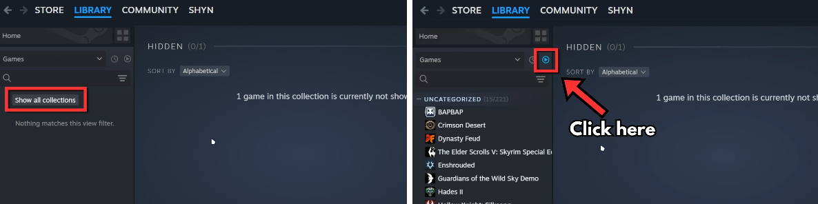 Steam Library Filter Error