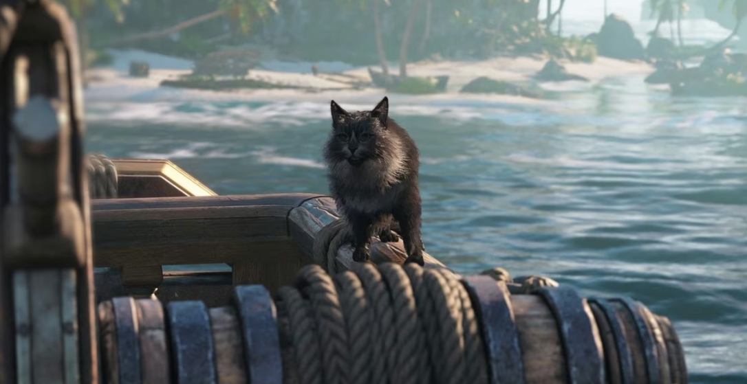 Buy Assassin’s Creed Black Flag Resynced and Get a Free Monkey From Ubisoft: How to Claim It - Image 2