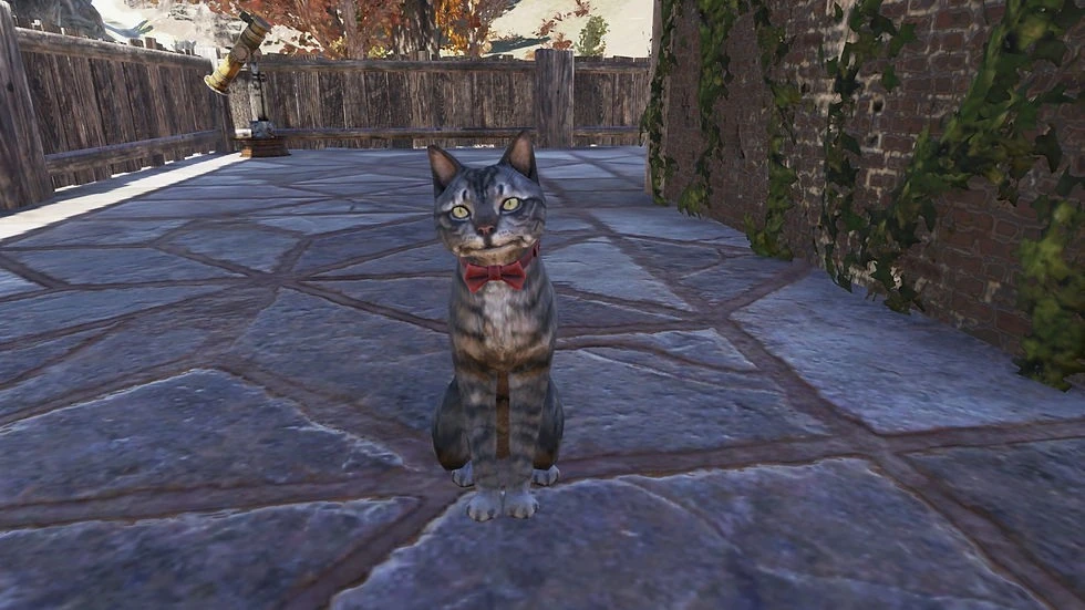 Fallout 76 pets return to public testing with combat commands and progression - Image 1