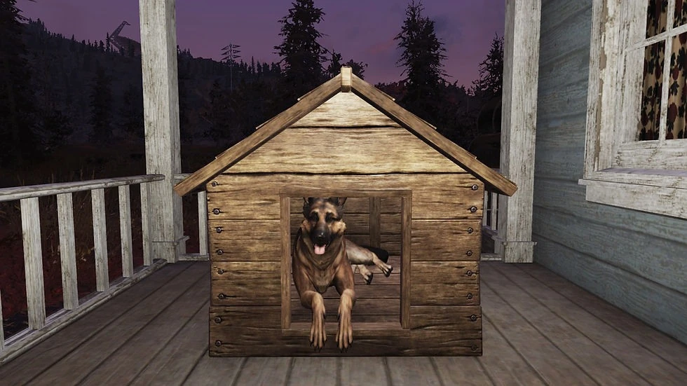 Supporting image for Fallout 76 pets return to public testing with combat commands and progression